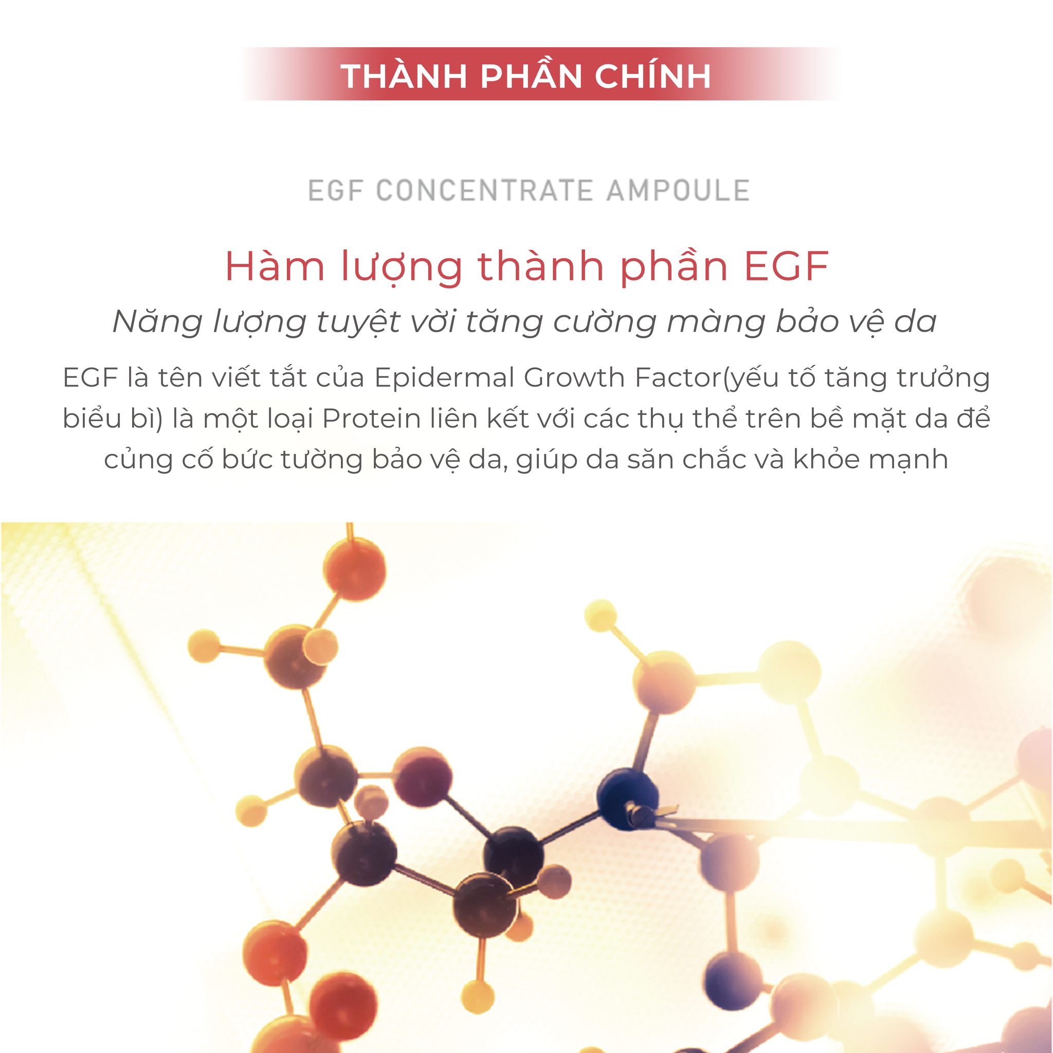 Huyết thanh tái tạo tế bào gốc Dr.Hedison EGF Revitalize Serum